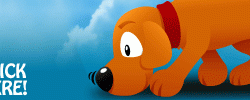 keyword canine